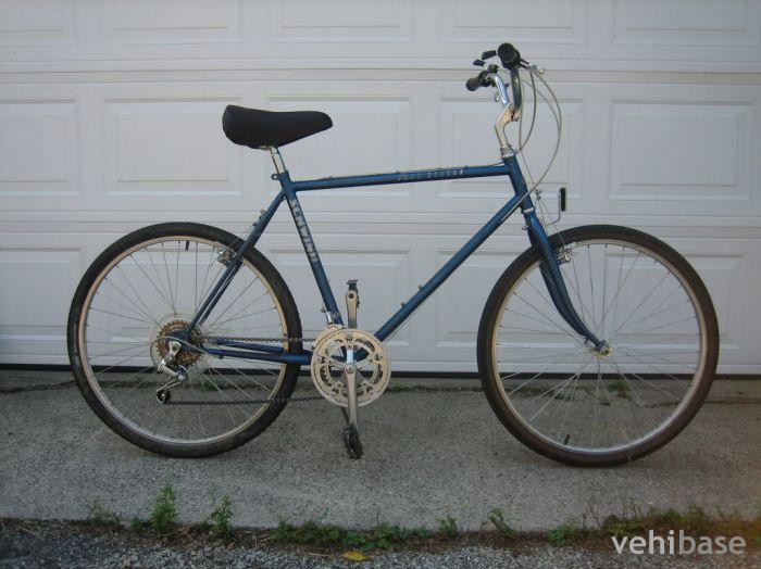 Schwinn Mesa Runner