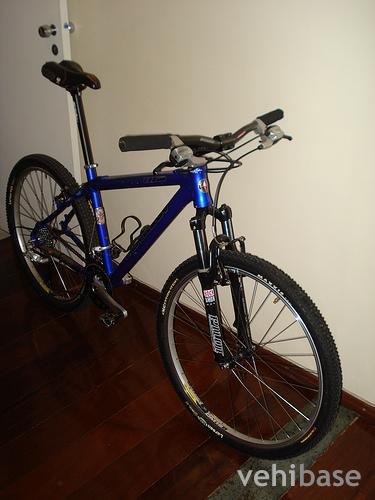 Schwinn Moab HT