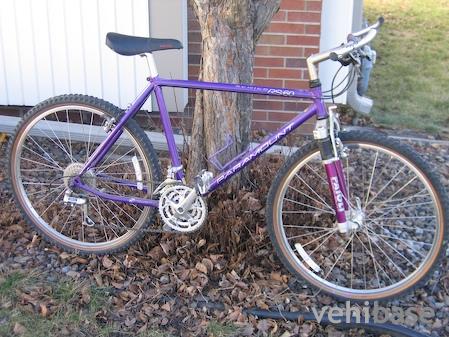 Schwinn Paramount RS-60