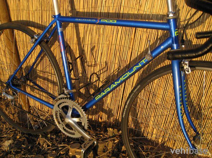 Schwinn PDG Series 3