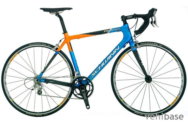 Schwinn Peloton Pro