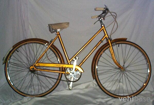 Schwinn Robin Hood