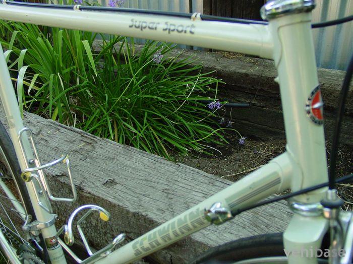 Schwinn Super Sport