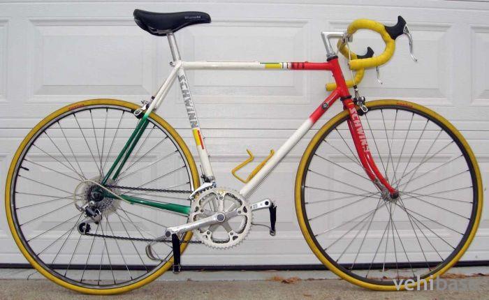 Schwinn Tempo