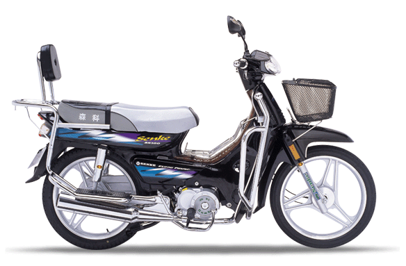 Senke SK100