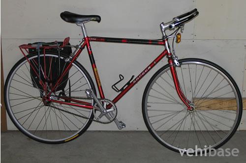 Shogun 600