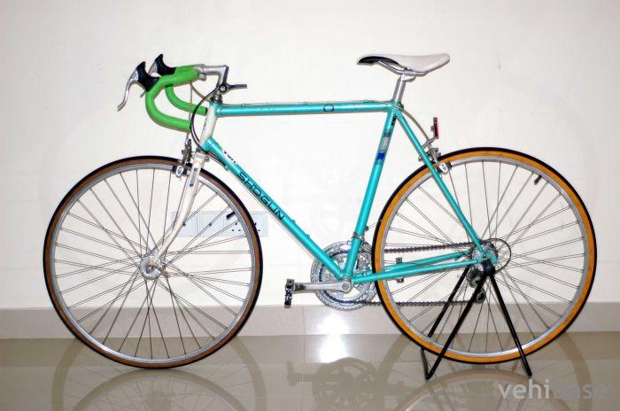 Shogun Custom Sport