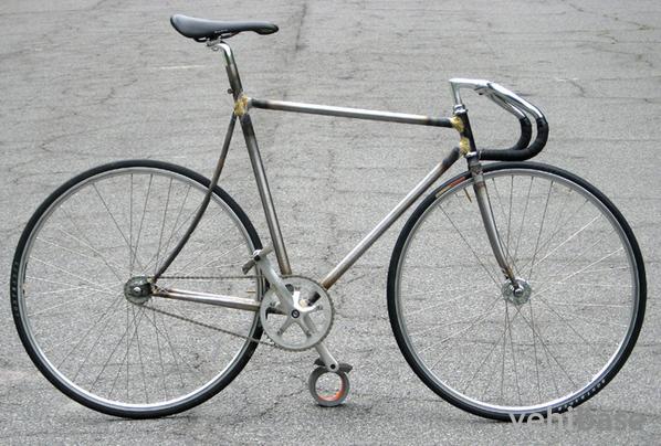 Snyder Cycles Duae Vultus