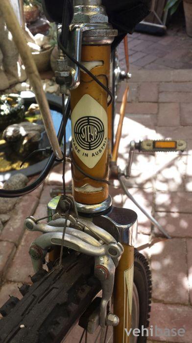 Steyr Clubman