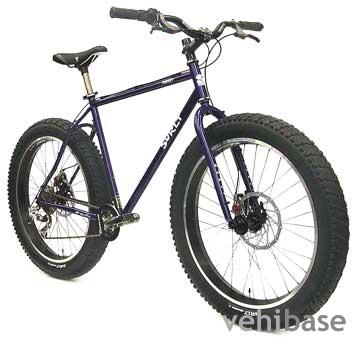 Surly Pugsley