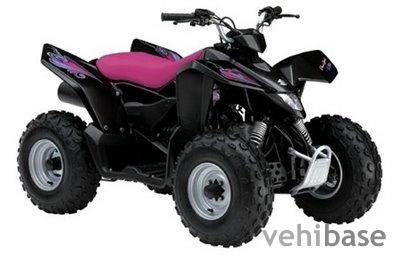 Suzuki QuadSport Z90 Special Edition