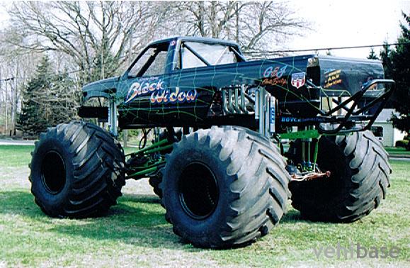 The Black Widow
