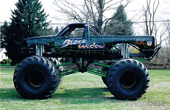 The Black Widow