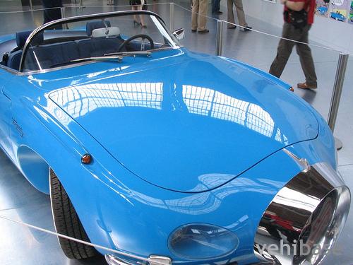 Turbot Rhino I Turbotraction