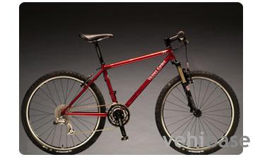 Vicious Cycles Jewel