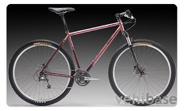 Vicious Cycles Motivator