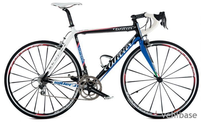 Wilier Le Roi Team