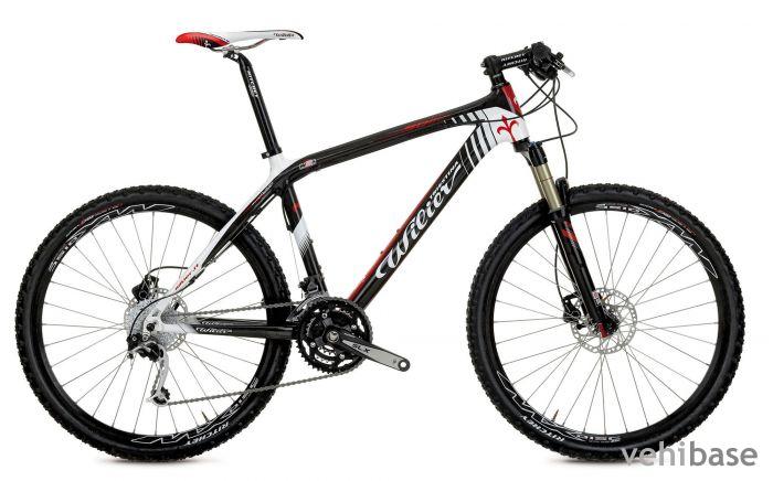 Wilier Solitario
