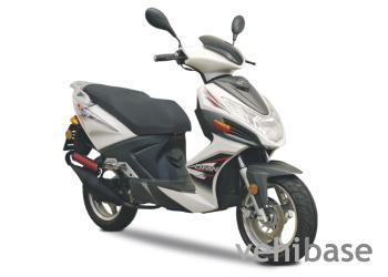 Yuki 50 GS 2T