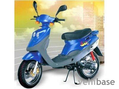 Adly Cat 50