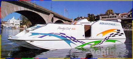 Advantage Party Cat MX 22