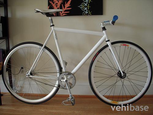Affinity Lo Pro