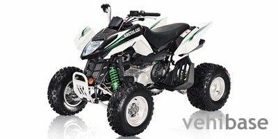 Arctic Cat 300 DVX