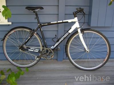 Avanti Blade 8