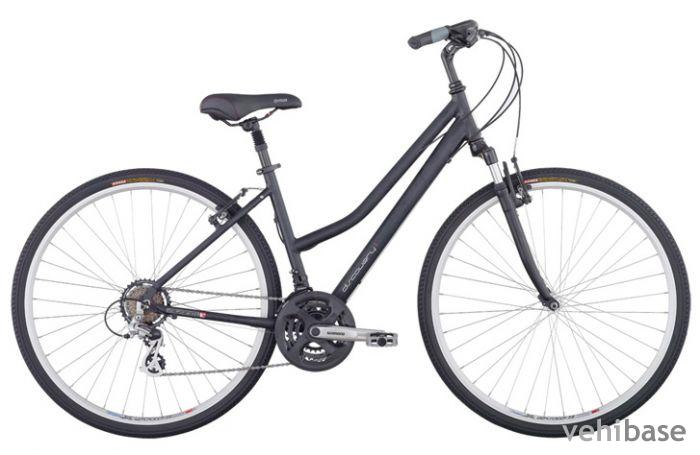 Avanti Discovery 1.0 Low