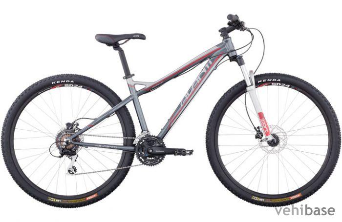 Avanti Montari 29