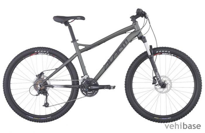 Avanti Montari 3