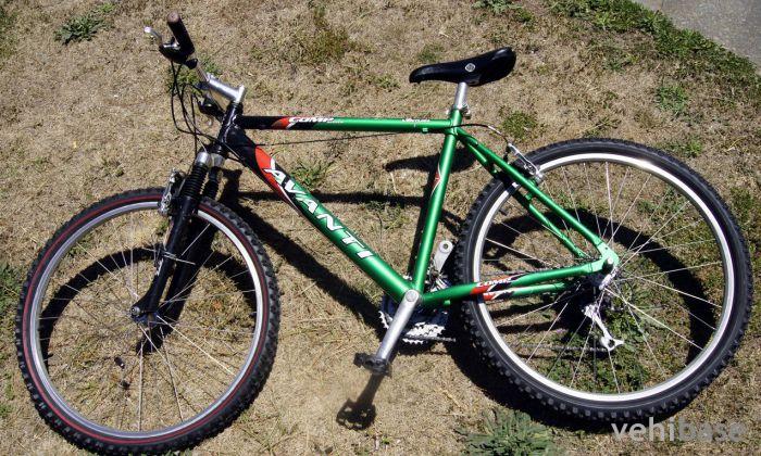 Avanti Ventura Comp