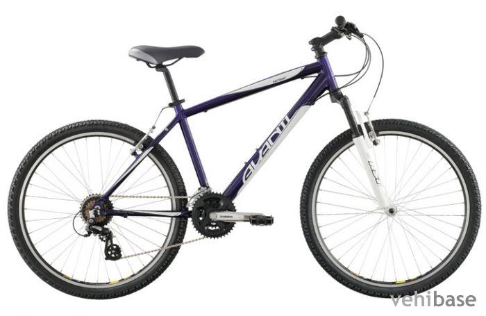 Avanti Verge
