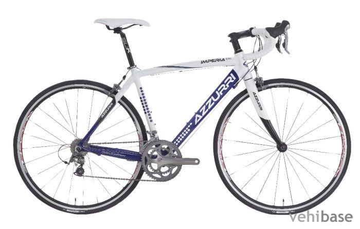Azzurri Imperia Elite