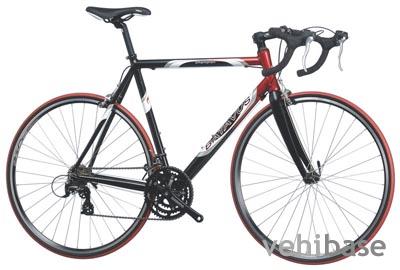 Batavus Champion