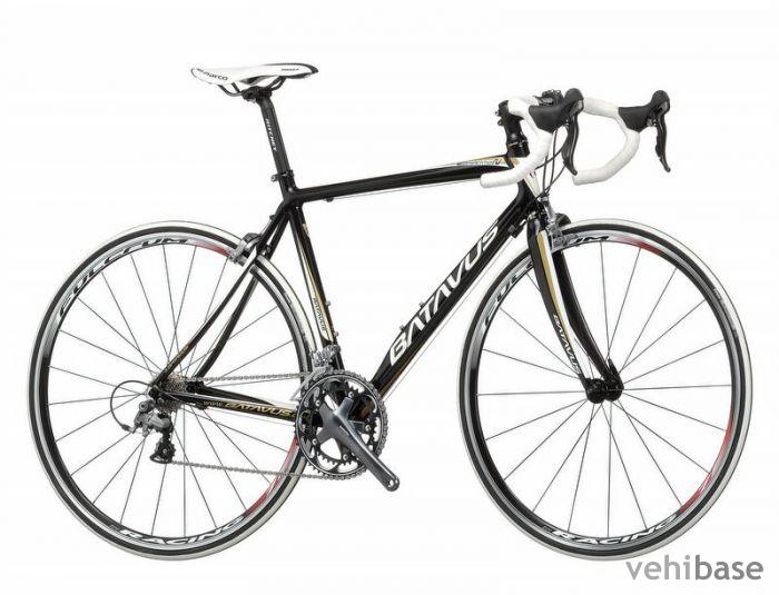 Batavus Competition