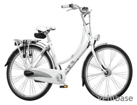 Batavus Diva