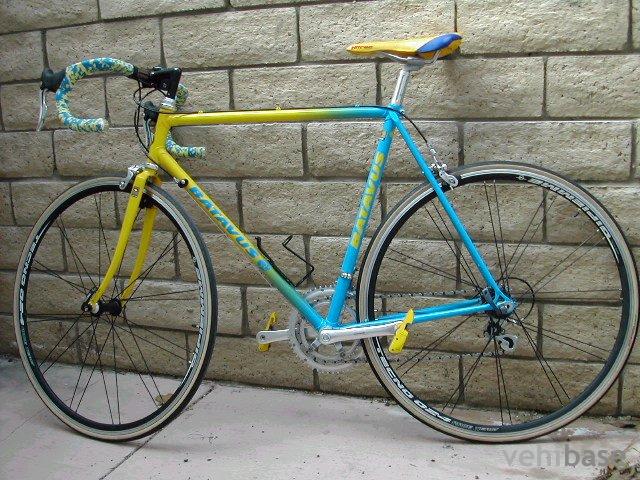 Batavus Professional