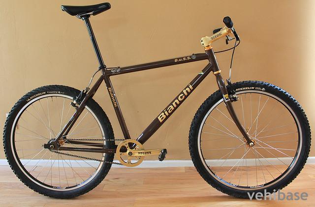 Bianchi BUSS
