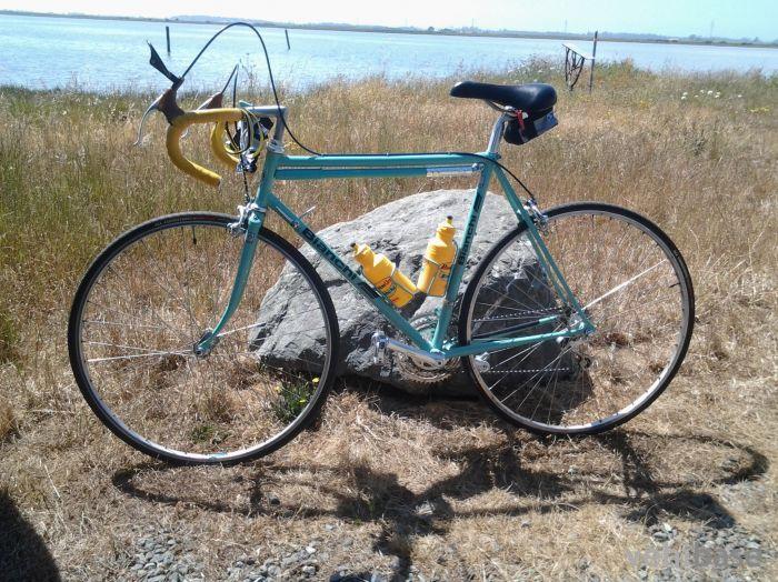 Bianchi Nuova Alloro