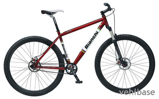 Bianchi Rita