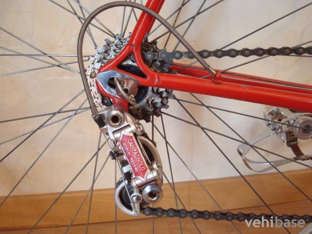 Bottecchia Campione Del Mondo