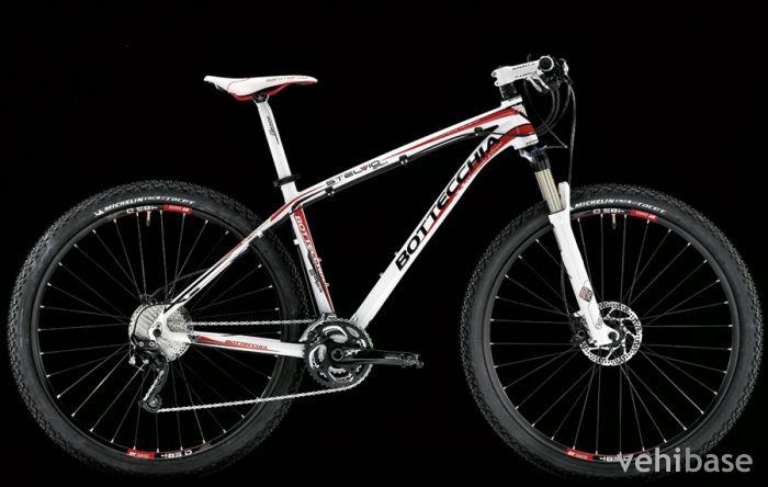 Bottecchia Stelvio 29