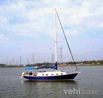 Bristol 33