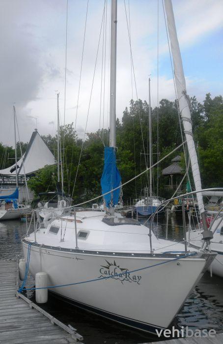 C&C 26