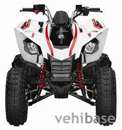 Can-Am DS 250