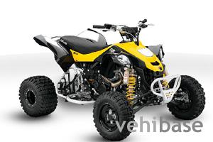 Can-Am DS 450 EFI X mx