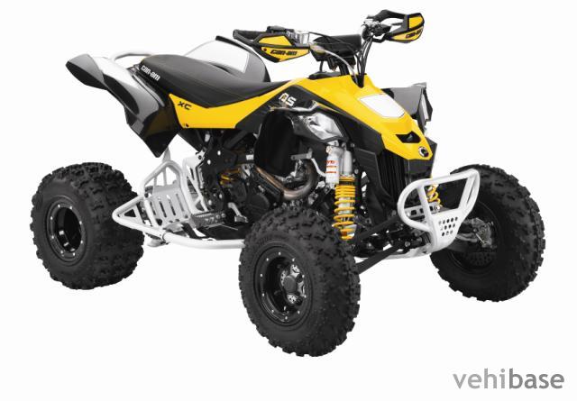 Can-Am DS 450 EFI X xc