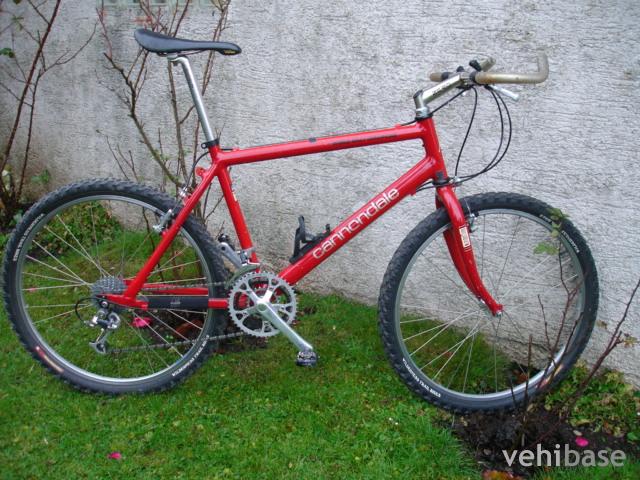 Cannondale Beast of the East