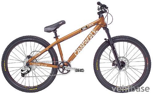 Cannondale Chase 1